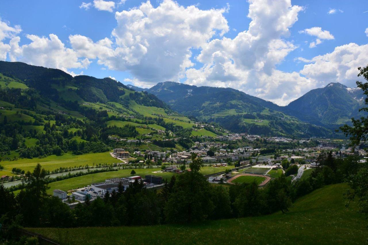 Niederstallnhof Sankt Johann im Pongau Luaran gambar