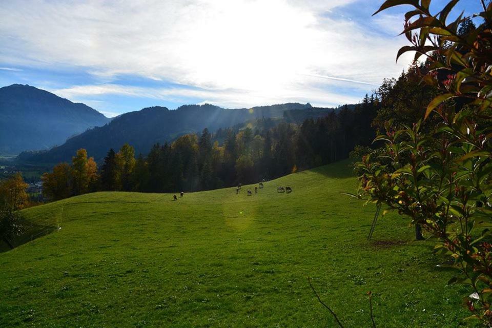 Niederstallnhof Sankt Johann im Pongau Luaran gambar